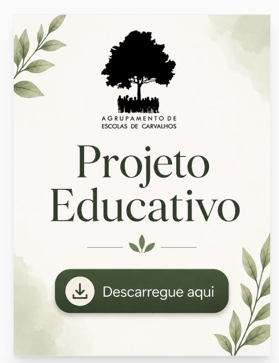 PE imagem 26