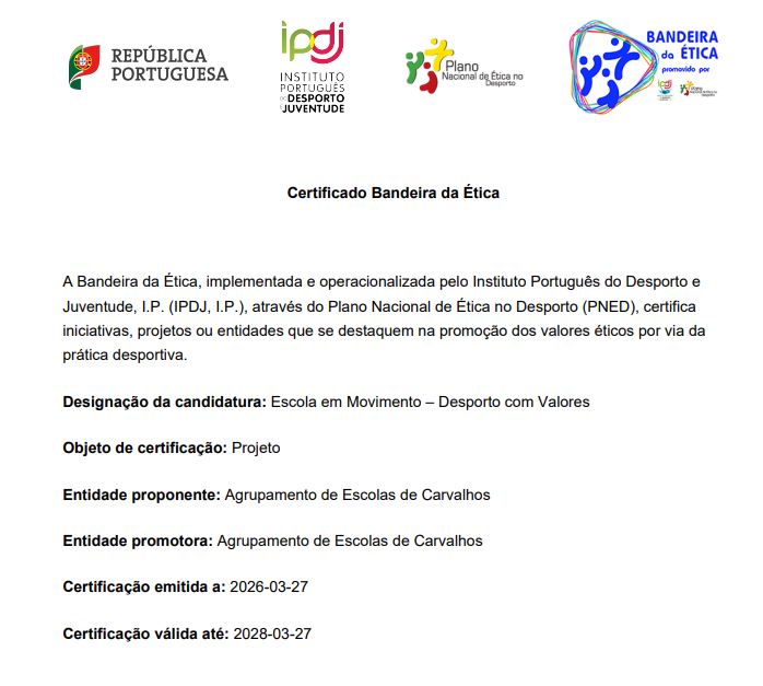 bandeira etica2