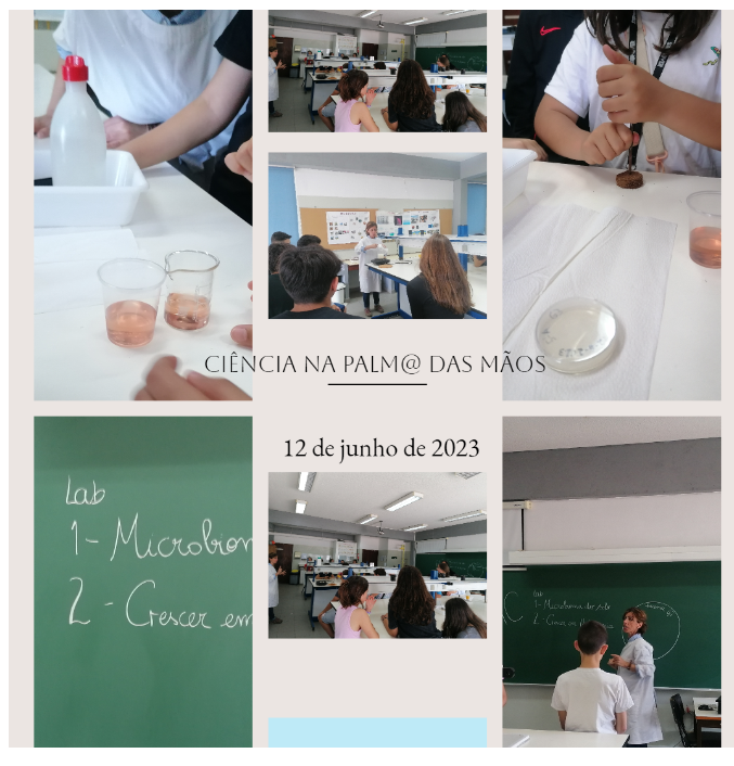 ciencia palm