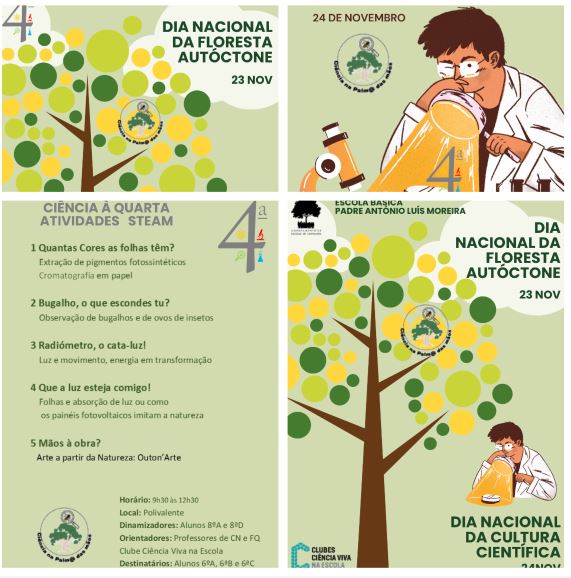 ciencia viva novem