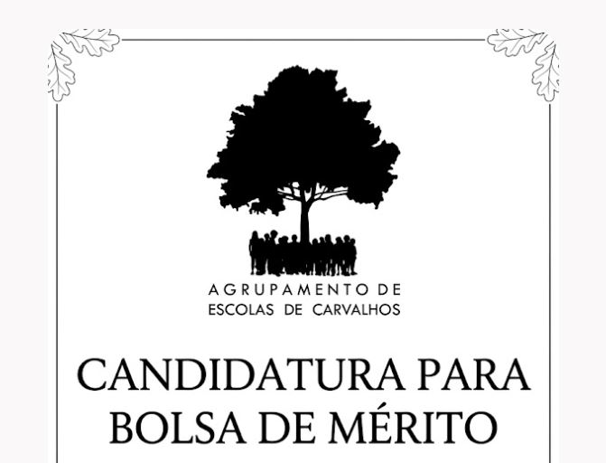 mérito 26